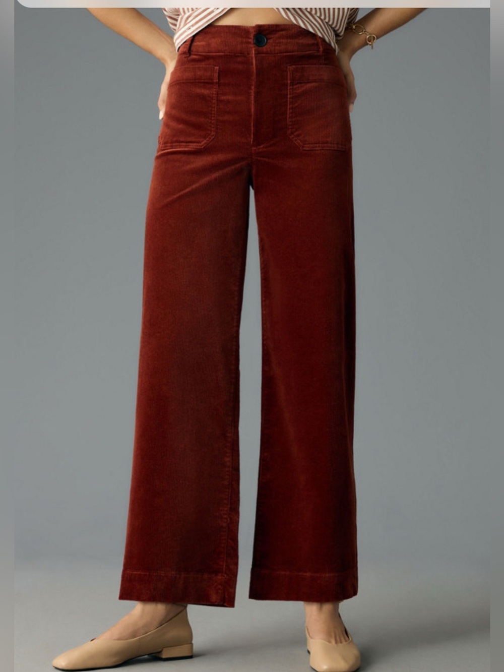 NWT Anthropologie Maeve Colette Corduroy Crop Wide-Leg Pants 27 X 26 Cinnamon